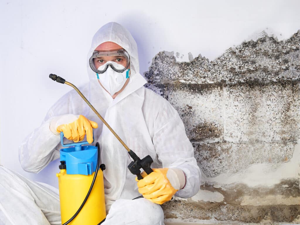 Mold remediation company