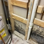 Black Mold Due To Water Damage