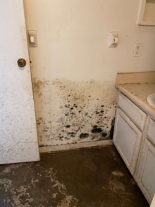 Mold Inspection and Testing Grandview
