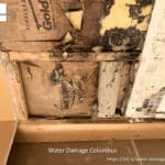 Idry Columbus Water Damage Cleanup (m1) (cid) 8