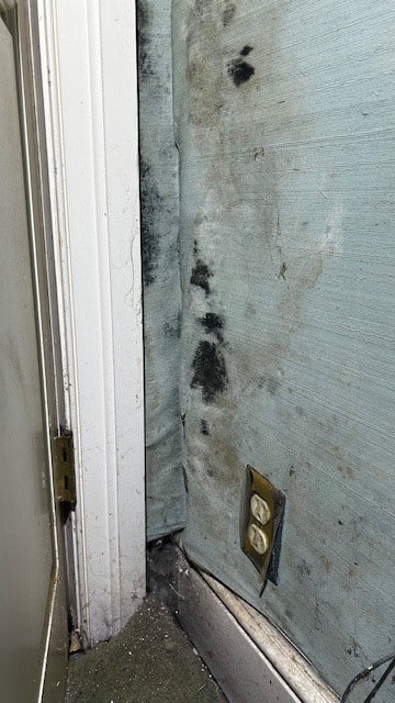 black mold discovered behind wallpaper near plumbing