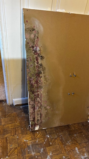 pink and black mold forming on water-soaked drywall