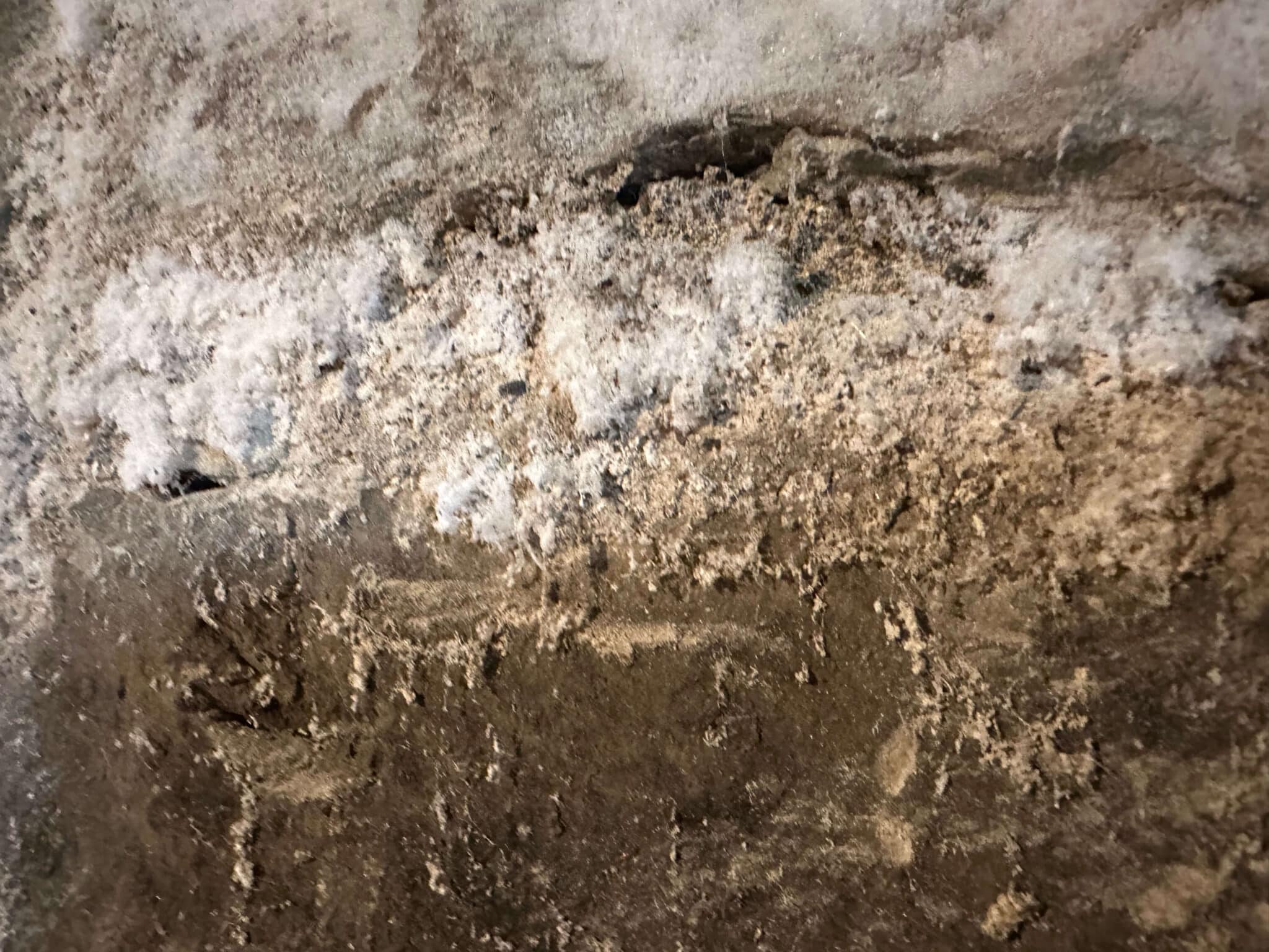 Great Description About Efflorescence In Basement Walls