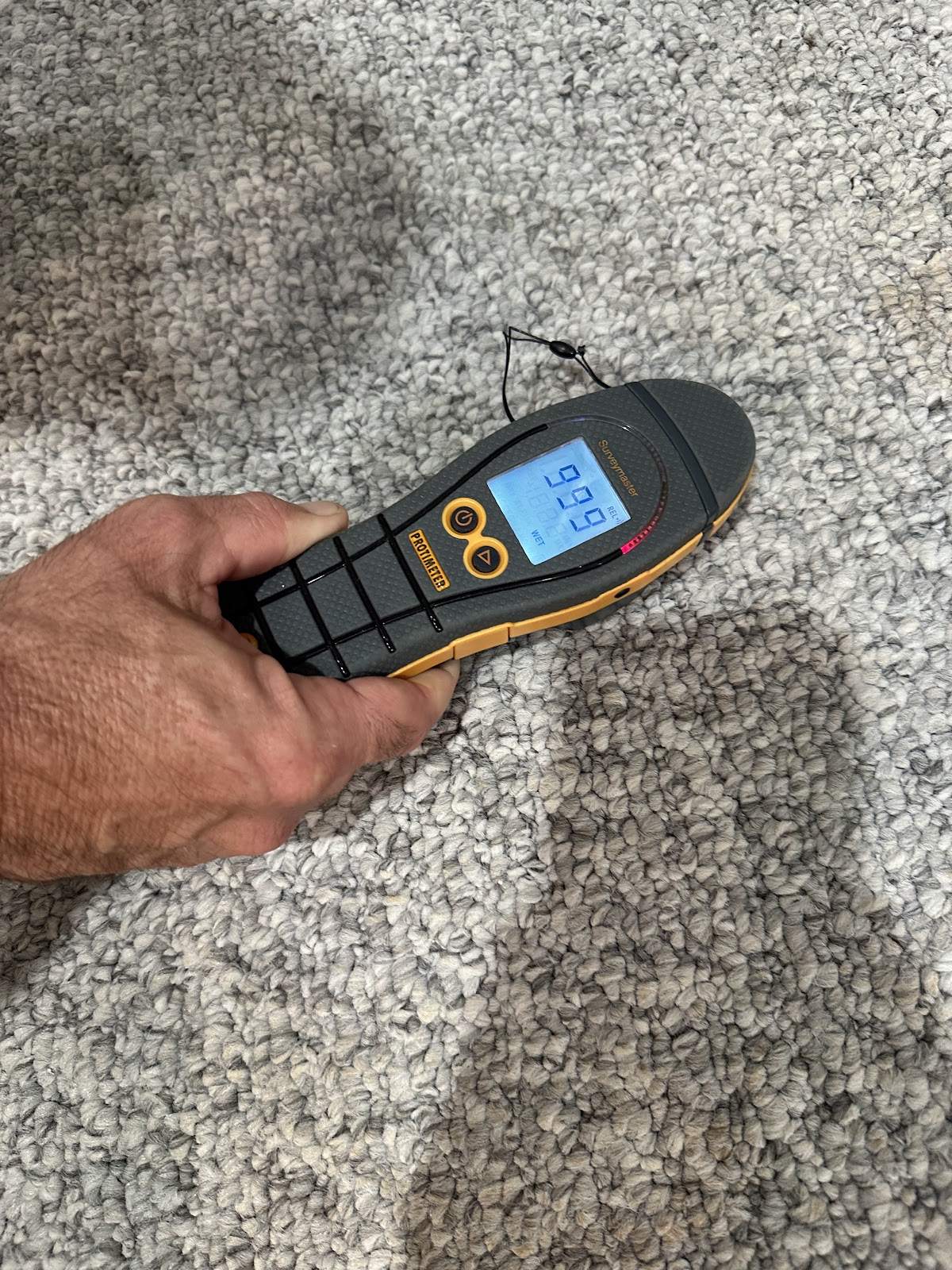 Moisture meter reading wet carpet during a Columbus, Ohio flooded carpet drying assessment
