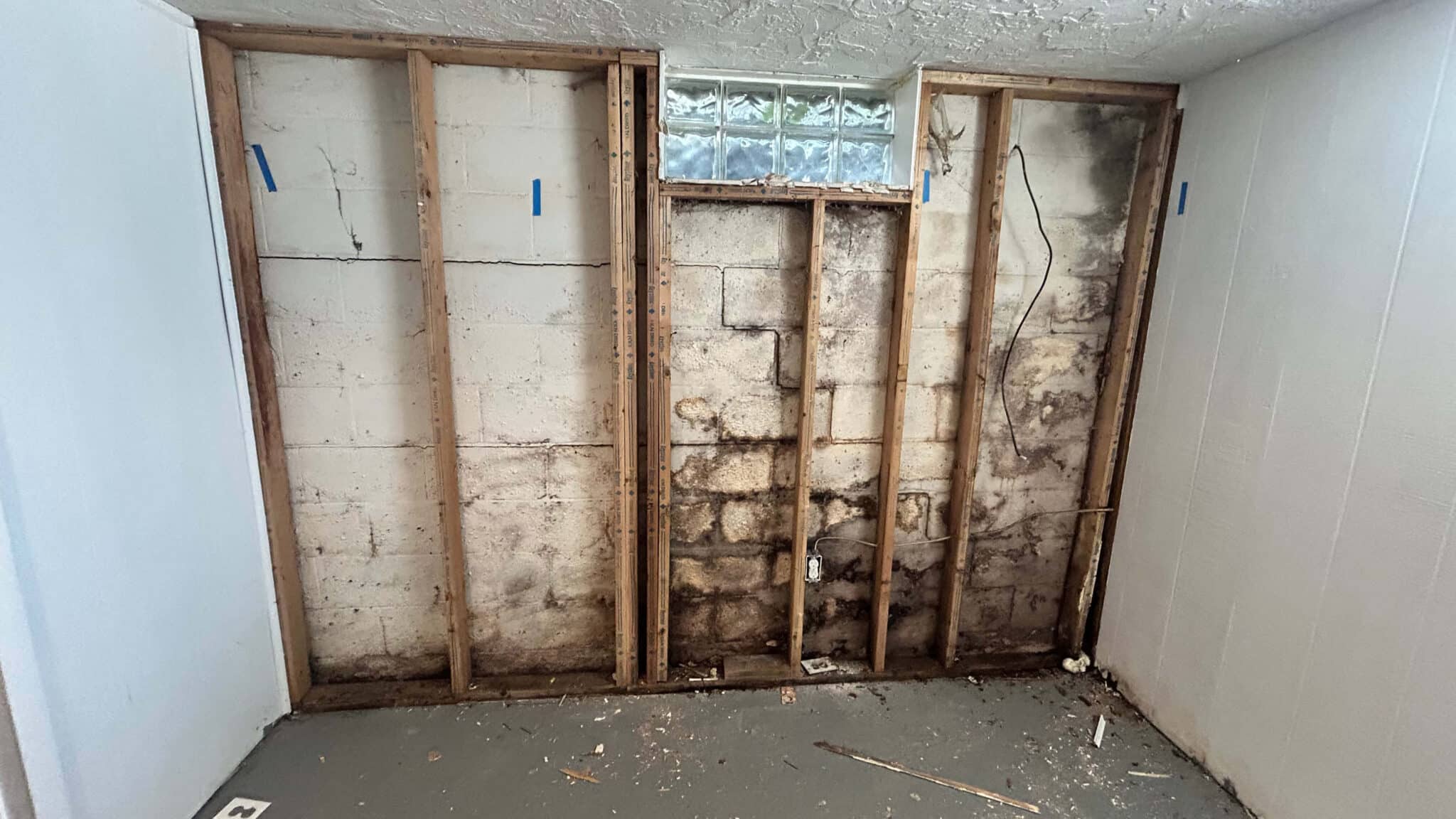 Black mold discovered behind drywall during mold remediation in Columbus Ohio basement