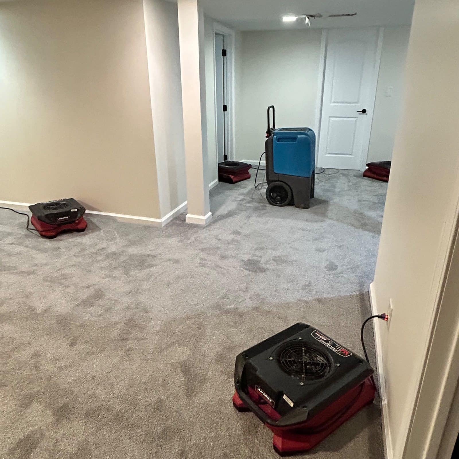 Water damage drying setup: multiple fans and dehumidifier positioned in affected basement area with visible moisture patterns on carpet