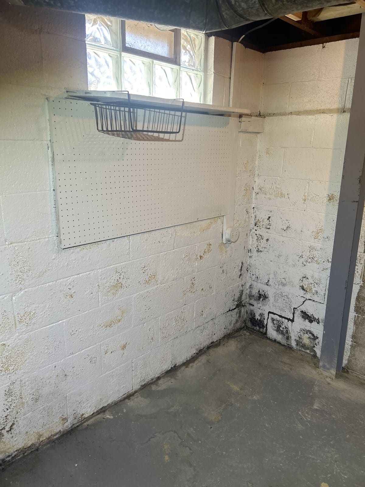 Basement corner with visible mold growth on lower walls and wet floor conditions—typical moisture intrusion damage requiring remediation