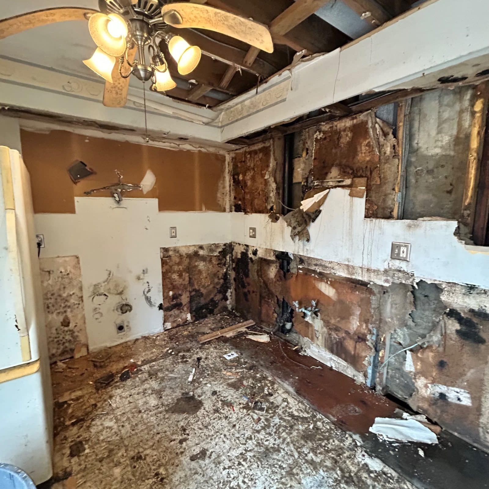 Bathroom with severe mold growth and structural water damage; ceiling open to framing